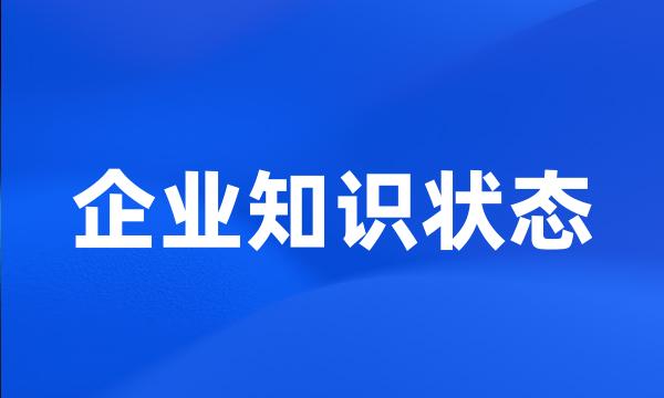 企业知识状态