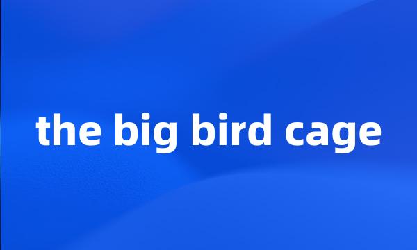 the big bird cage