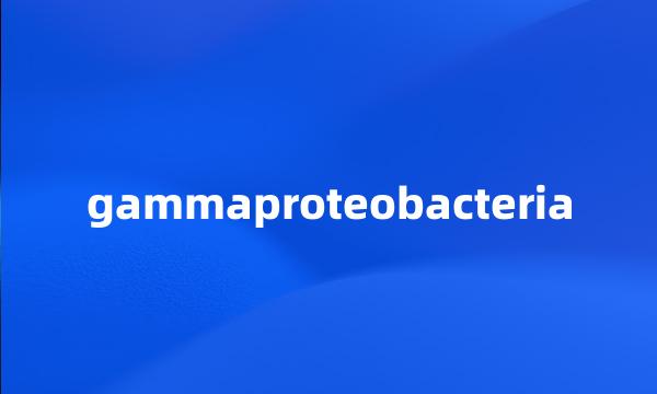 gammaproteobacteria