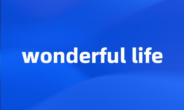 wonderful life