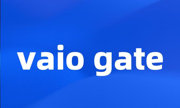 vaio gate