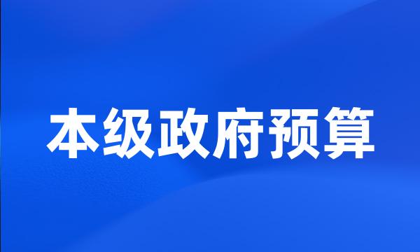 本级政府预算