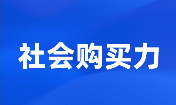 社会购买力