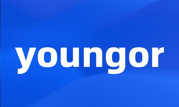 youngor