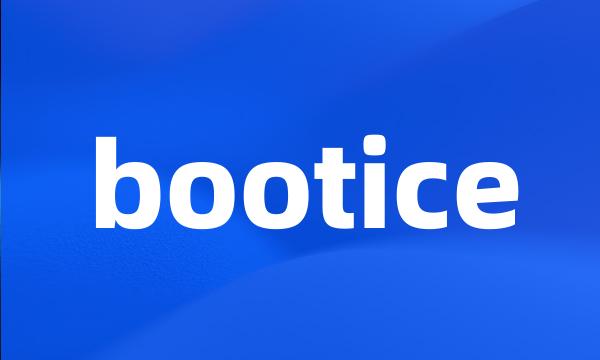 bootice