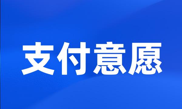 支付意愿