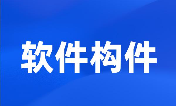 软件构件