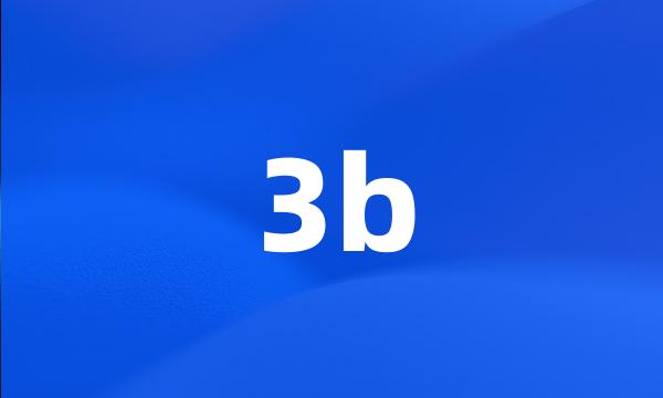 3b