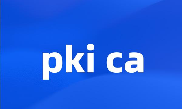 pki ca