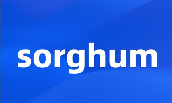 sorghum