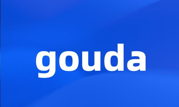 gouda