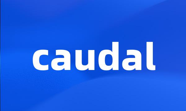 caudal