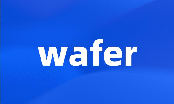 wafer