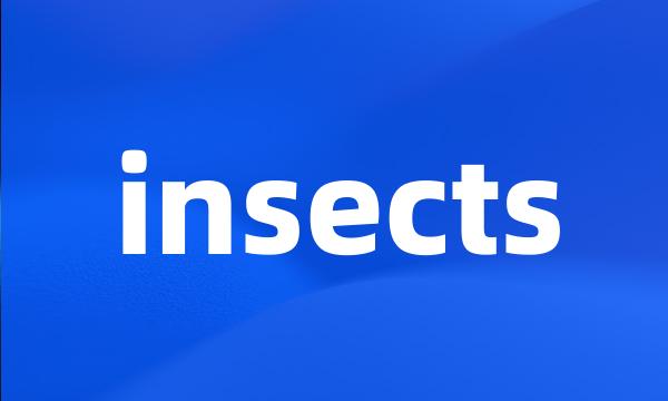 insects