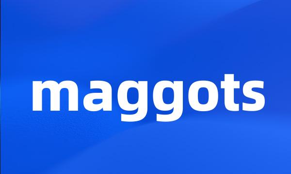 maggots