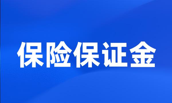 保险保证金