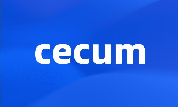 cecum