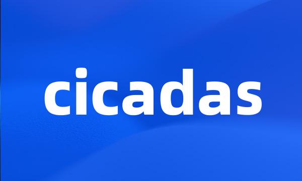 cicadas