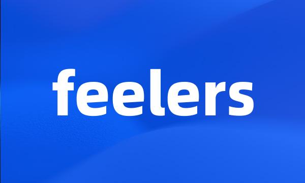 feelers