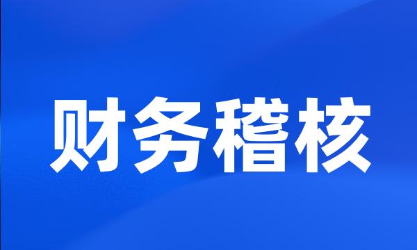 财务稽核