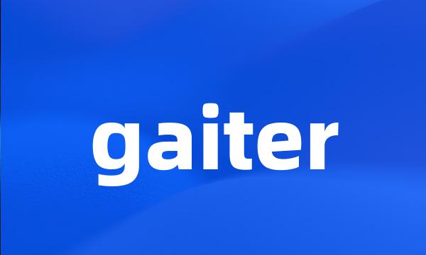 gaiter