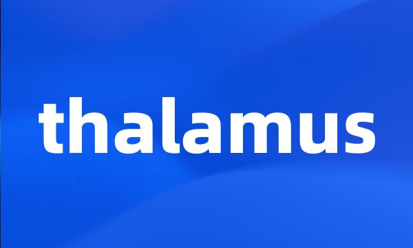 thalamus