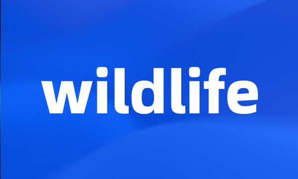 wildlife