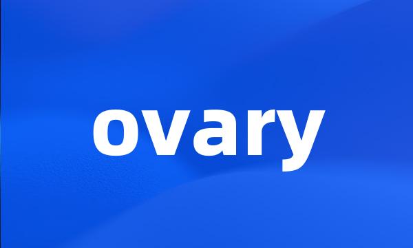 ovary