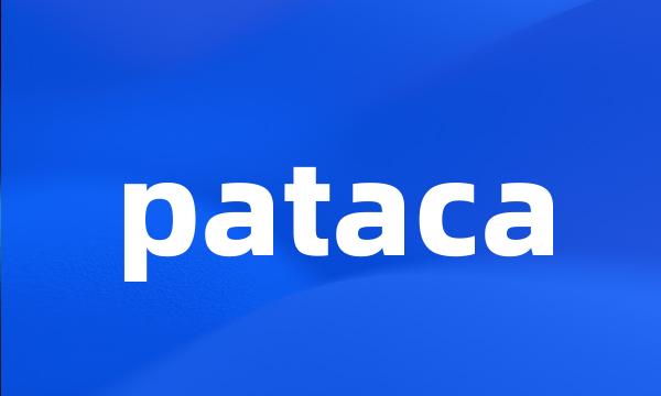 pataca