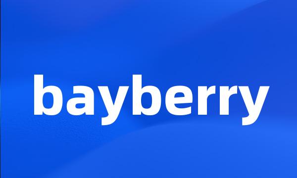 bayberry