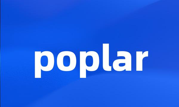 poplar