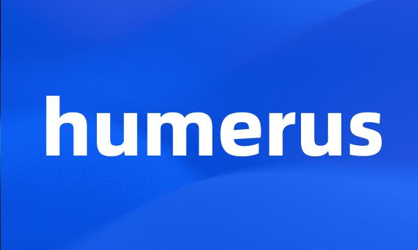 humerus