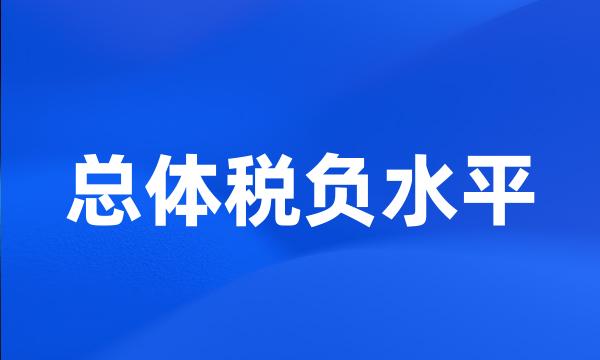 总体税负水平