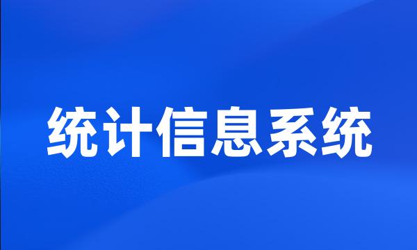 统计信息系统