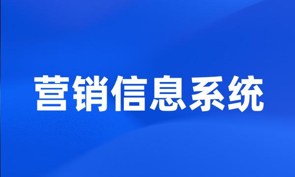 营销信息系统