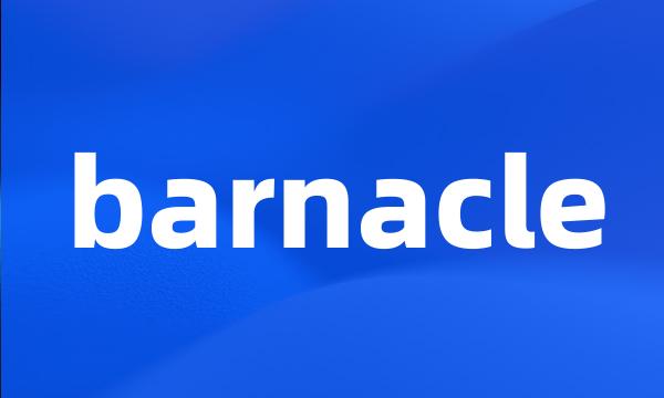 barnacle