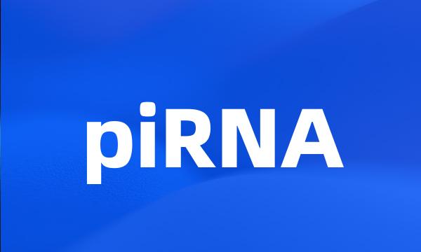 piRNA