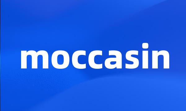 moccasin