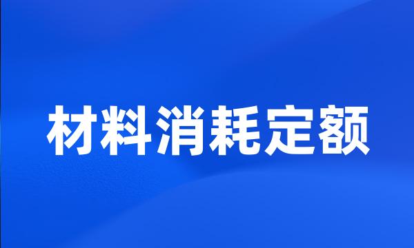 材料消耗定额