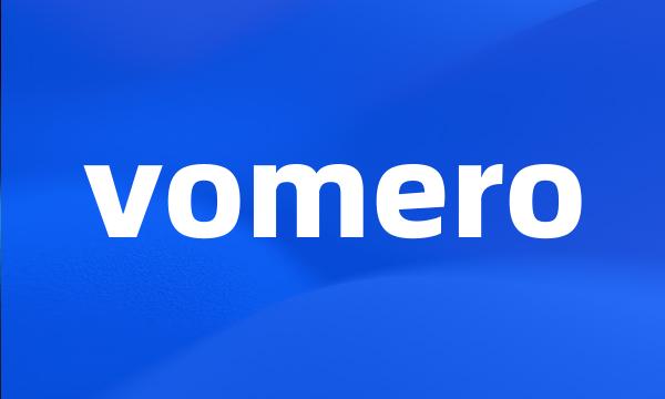 vomero