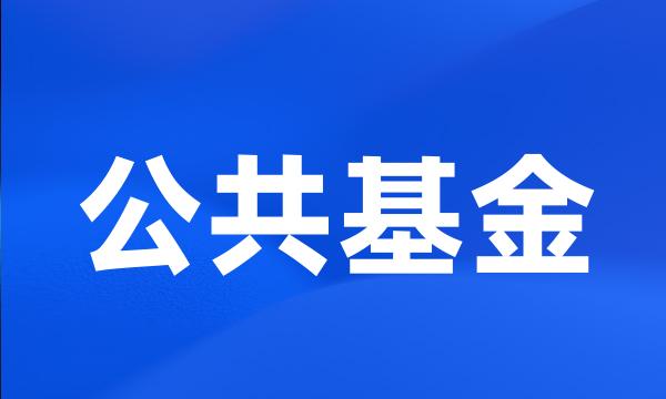 公共基金