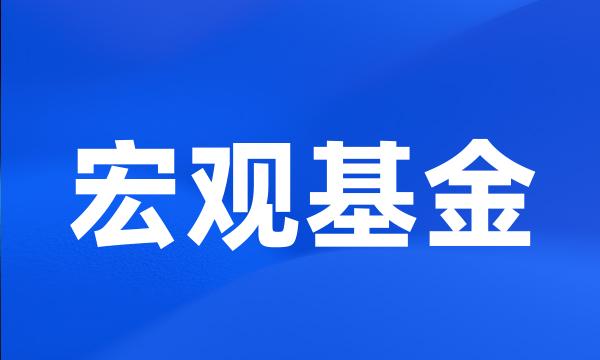 宏观基金