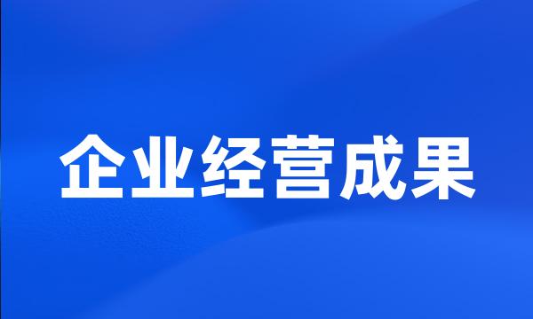 企业经营成果