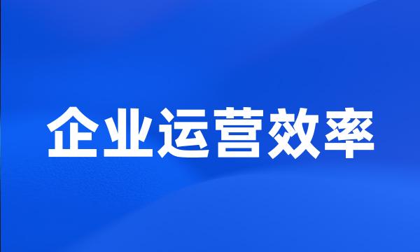 企业运营效率