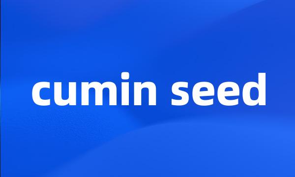 cumin seed