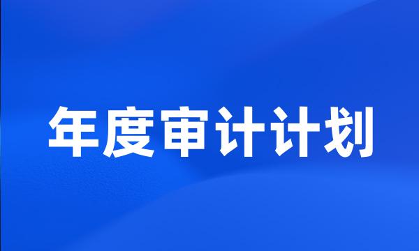 年度审计计划