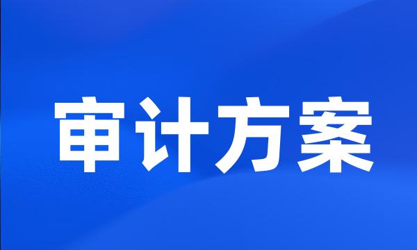 审计方案