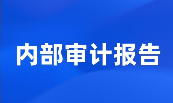 内部审计报告