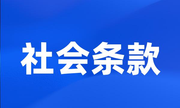 社会条款