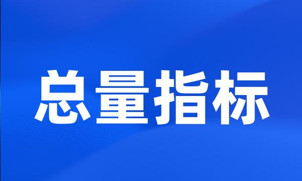 总量指标